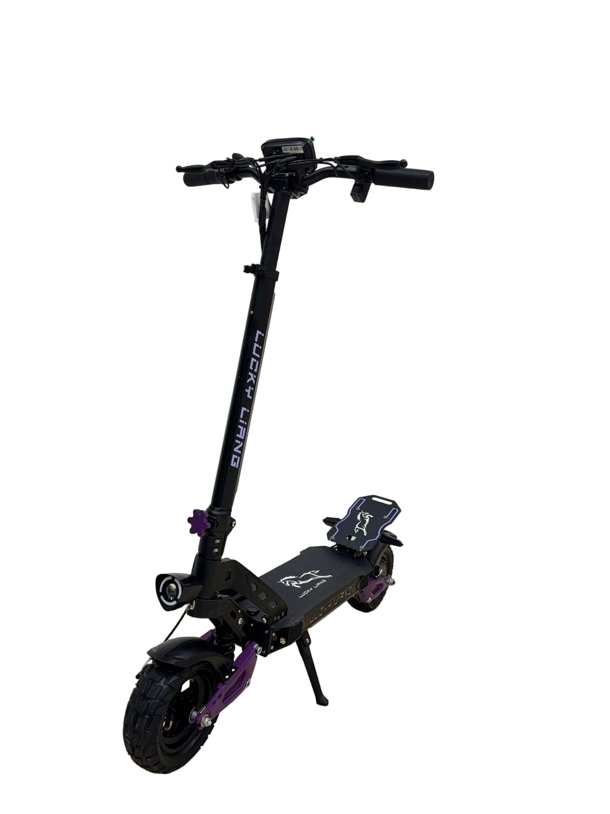 L1 1000W Electric Scooter (30 KM range, 50 KM/H)