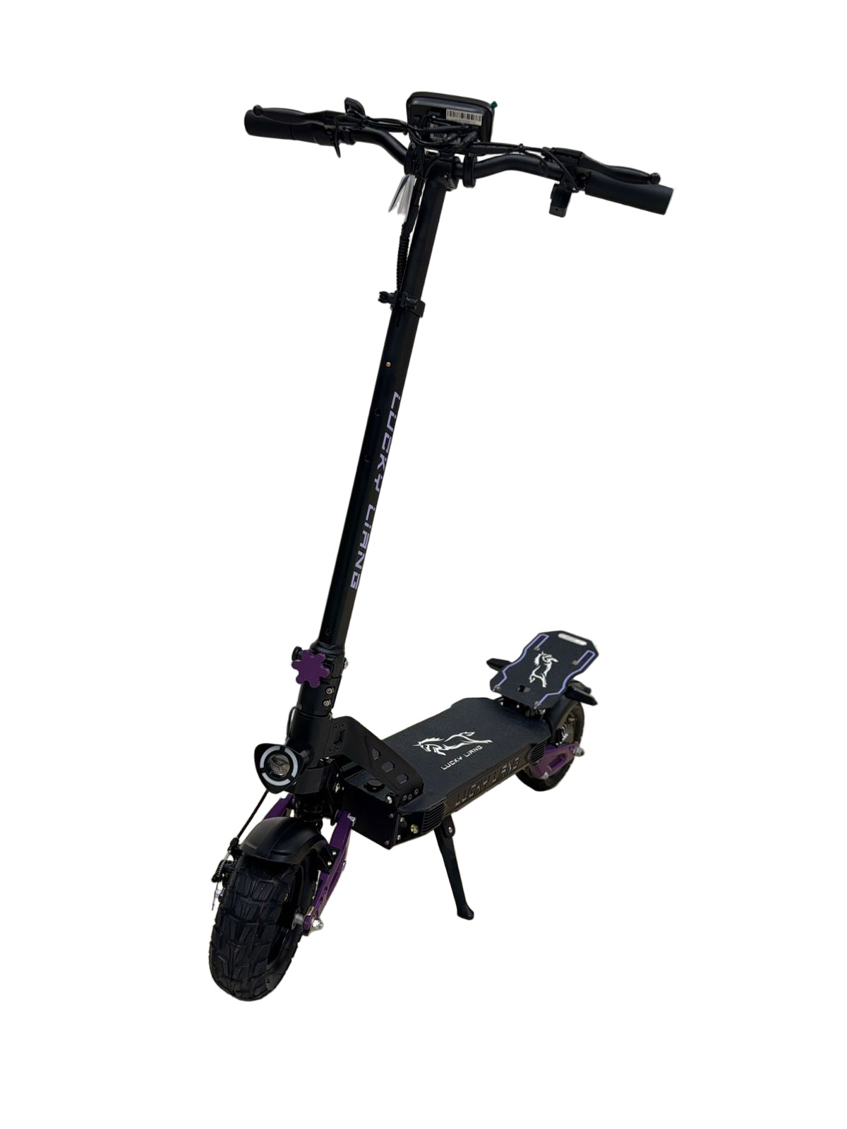 L1 1000W Electric Scooter (30 KM range, 50 KM/H)