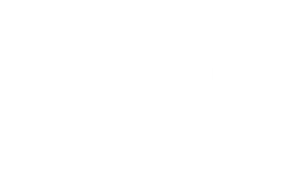 e-ThunderBike