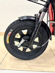 Winner Sky E-Bike 16 – City Electric Bike, 50 KM/H, 500W Motor, Daily Ride