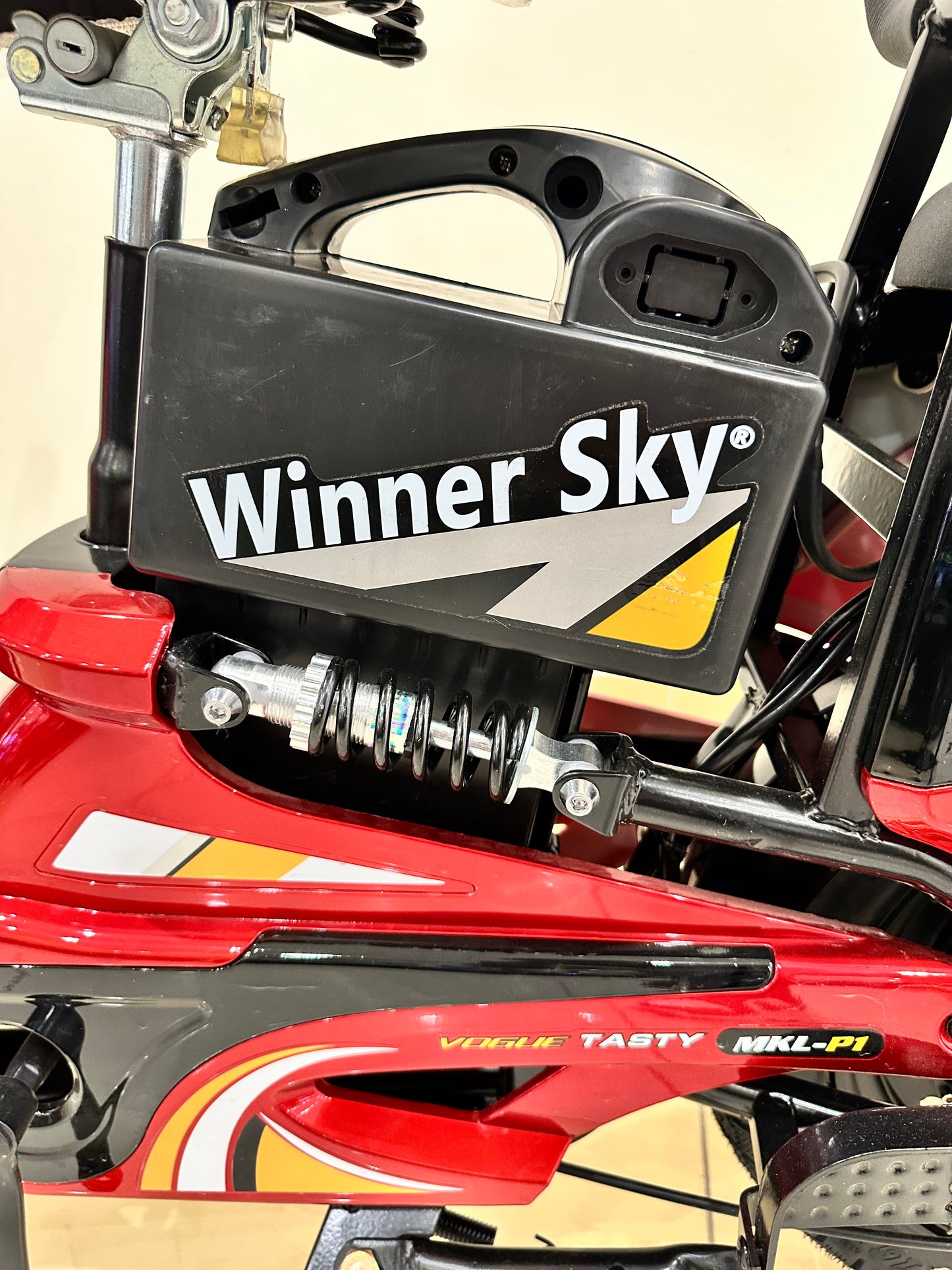 Winner Sky E-Bike 16 – City Electric Bike, 50 KM/H, 500W Motor, Daily Ride
