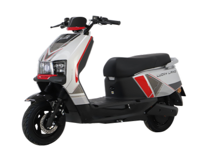 J1 1500W Electric Bike (55 KM range, 70 KM/H)