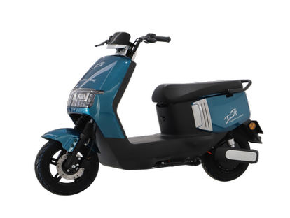 J2 1000W Electric Bike (60 KM range, 70 KM/H)