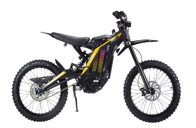 Qin Feng 4000W Electric Motorcycle (100–110 KM range, 80 KM/H, Samsung Battery)