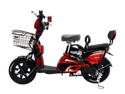 Winner Sky E-Bike 16 – City Electric Bike, 50 KM/H, 500W Motor, Daily Ride