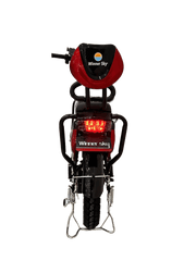 Winner Sky E-Bike 16 – City Electric Bike, 50 KM/H, 500W Motor, Daily Ride